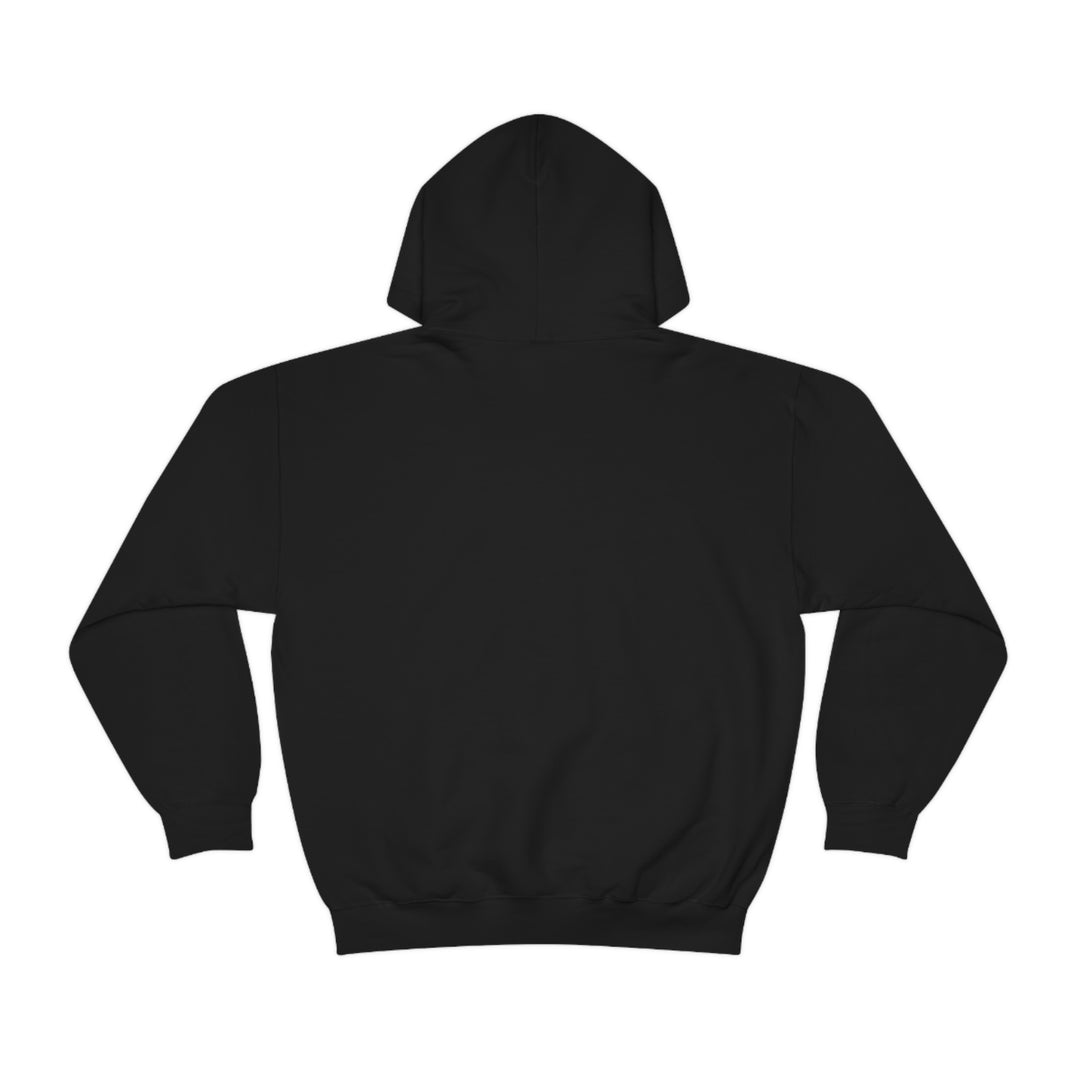 Braille Trail - Day Valley, CA Unisex Heavy Blend Hooded Sweatshirt