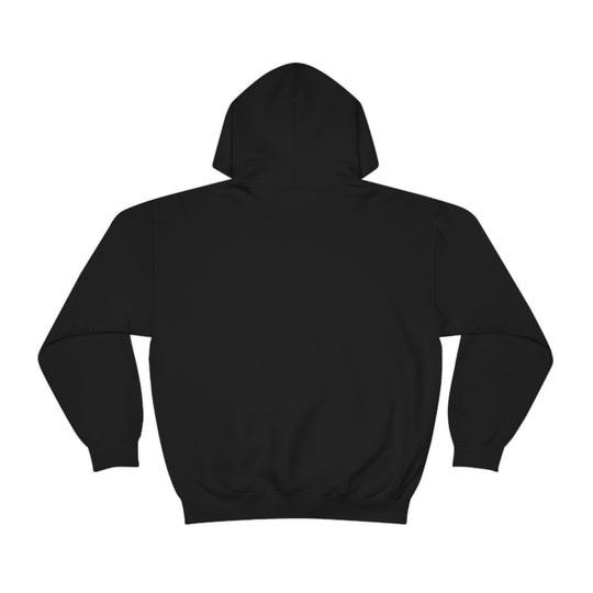 Braille Trail - Day Valley, CA Unisex Heavy Blend Hooded Sweatshirt