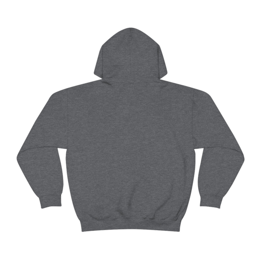 Braille Trail - Day Valley, CA Unisex Heavy Blend Hooded Sweatshirt