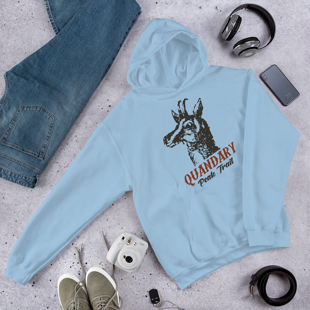 Quandary Peak Trail Unisex Hoodie