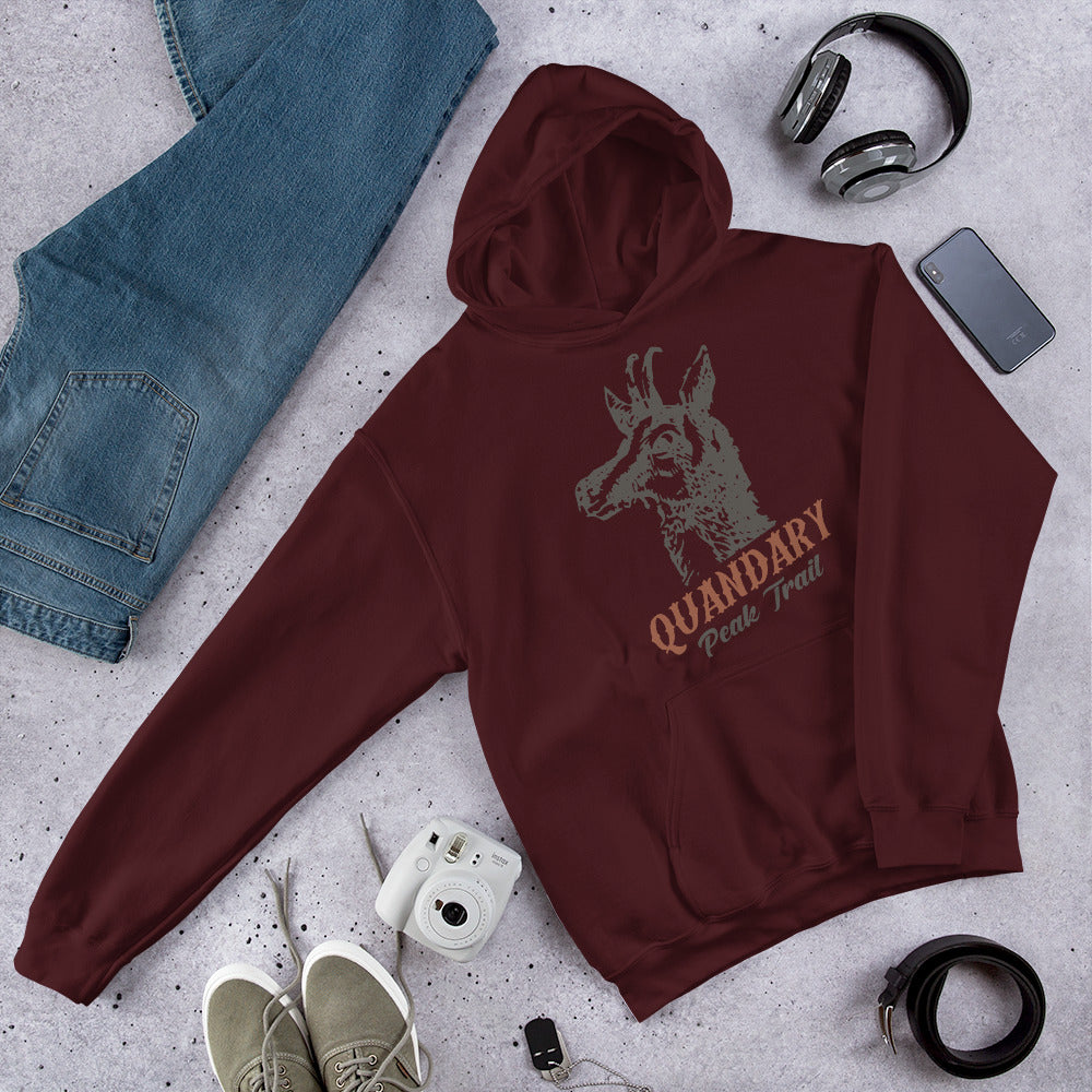 Quandary Peak Trail Unisex Hoodie