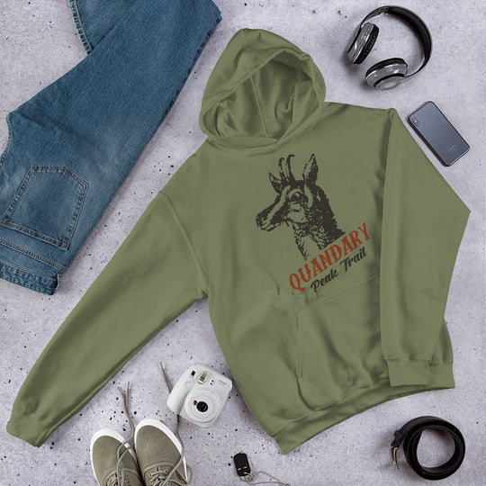 Quandary Peak Trail Unisex Hoodie