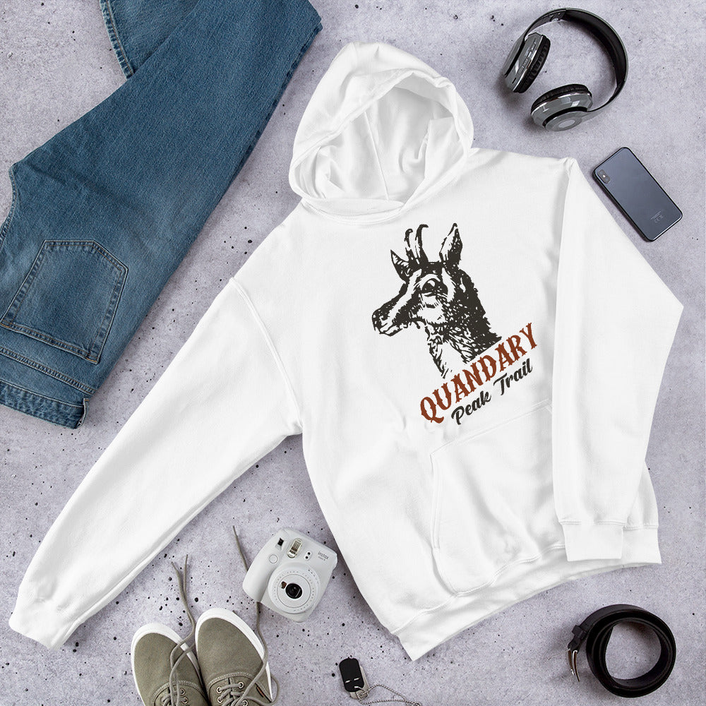 Quandary Peak Trail Unisex Hoodie